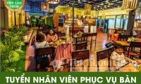Tuyển nhân viên phục vụ bàn – Brothers Rooftop Coffee Tuyển nhân viên phục vụ bàn – Brothers Rooftop Coffee