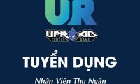 Tuyển nhân viên thu ngân – Quán Uproad Center Tuyển nhân viên thu ngân – Quán Uproad Center