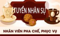 Tuyển nhân viên phục vụ, pha chế – Công Ty Dương Cafe Tuyển nhân viên phục vụ, pha chế – Công Ty Dương Cafe
