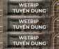 Tuyển gấp nhân viên tại 6 vị trí – Thời Trang Wetrip Tuyển gấp nhân viên tại 6 vị trí – Thời Trang Wetrip