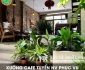 Tuyển nhân viên phục vụ – Quán Xưởng Cafe Tuyển nhân viên phục vụ – Quán Xưởng Cafe