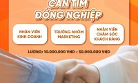 Tuyển trưởng nhóm marketing, kinh doanh, CSKH – Flowershort Tuyển trưởng nhóm marketing, kinh doanh, CSKH – Flowershort