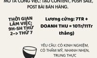 Tuyển nhân viên đăng bài, tư vấn bán hàng